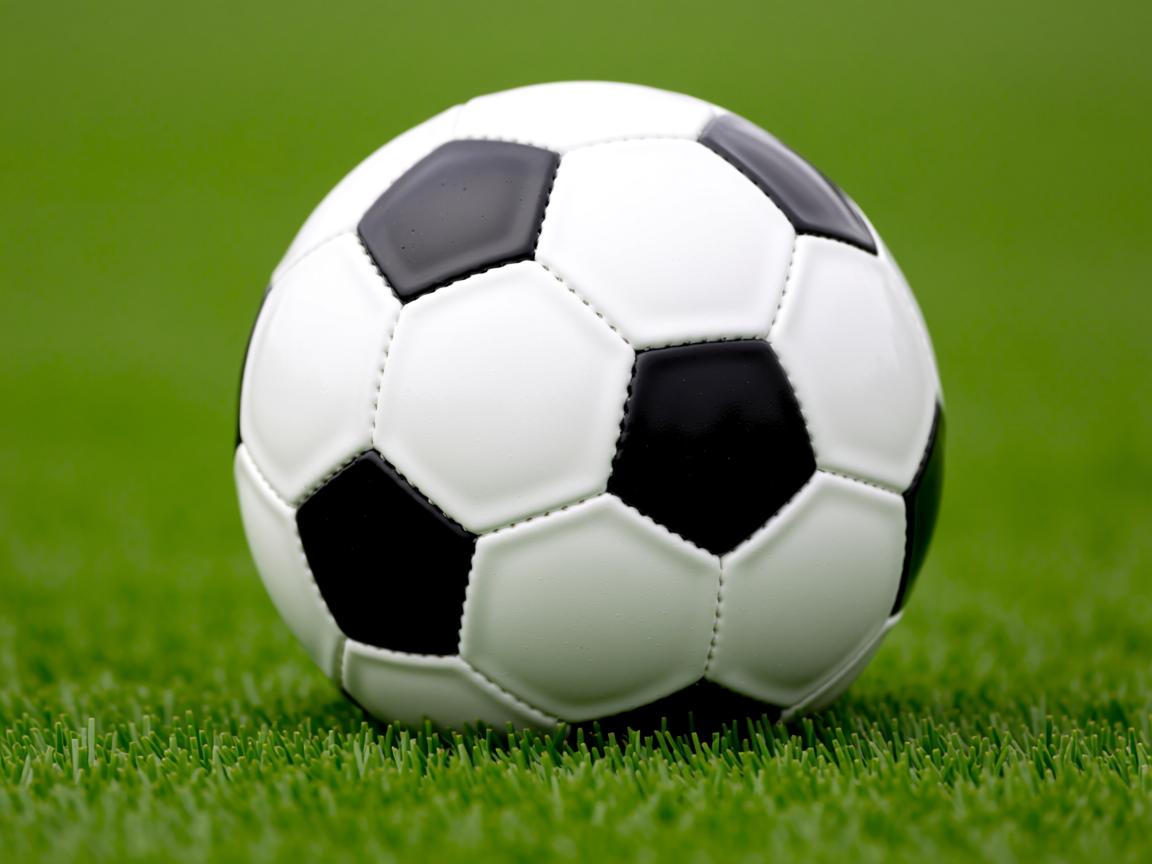 开云官方网-那不勒斯主场小胜阿尔比诺雷，取得三连胜  第3张