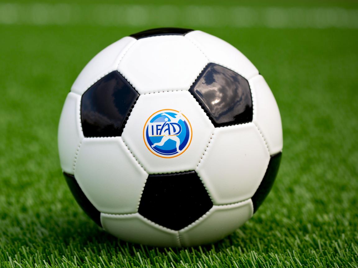 开云体育娱乐-体育新闻中心构建多层次体育数据资源联动机制，体育信息化建设方案  第2张