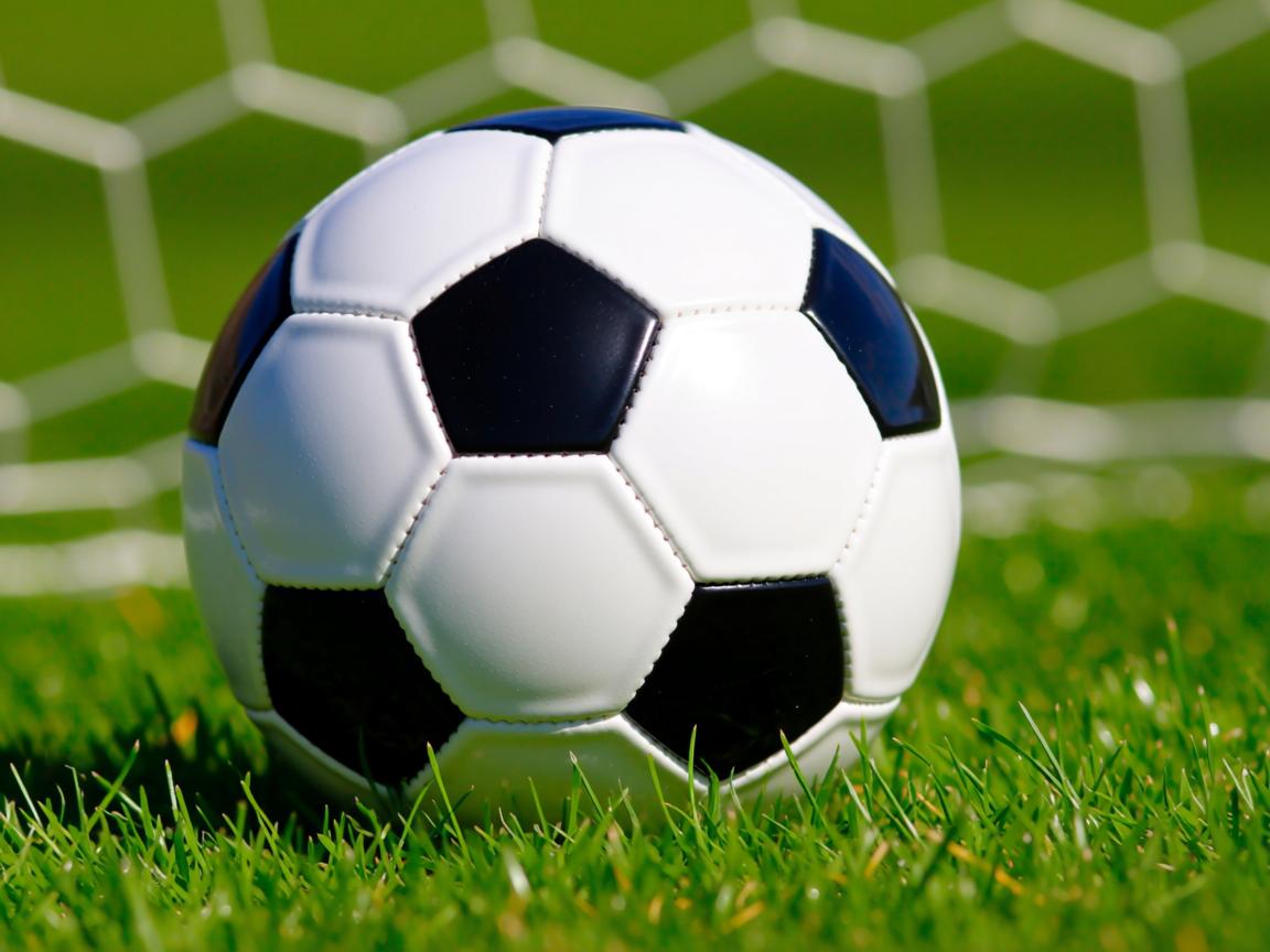 开云体育足球-国家体育政策改革座谈会召开聚焦公平与透明，国家体育体制改革  第2张